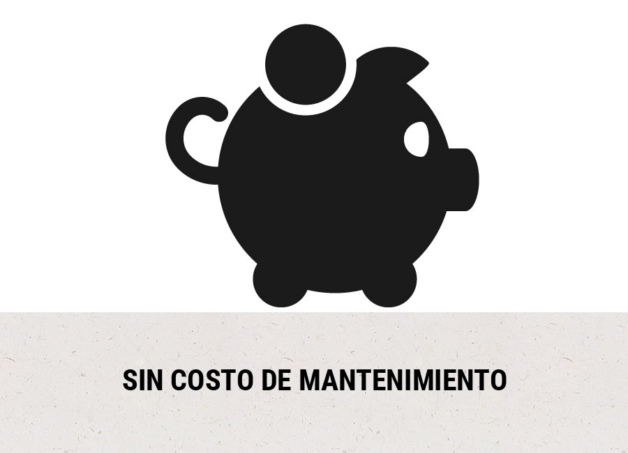 Planes de Pago